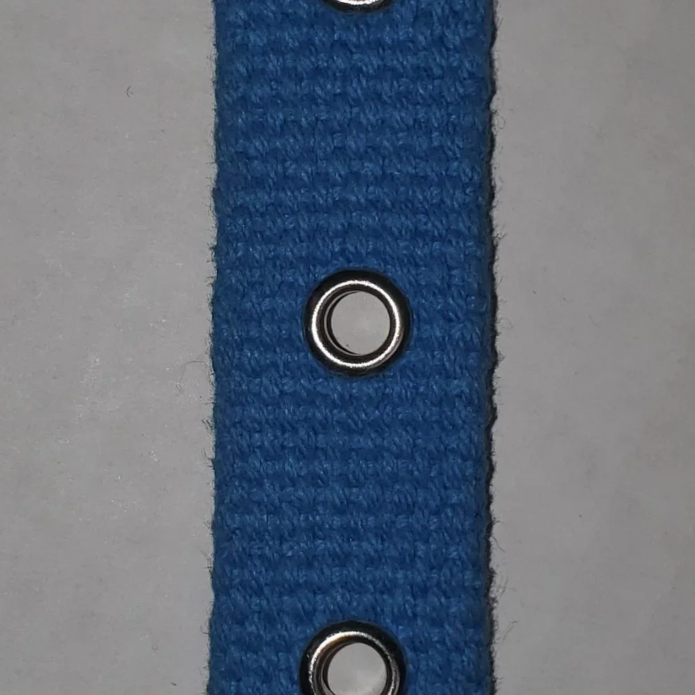 HTF Victoria Secret Pink RARE Dog Collar Vintage 2000's Aqua Blue Sooo Pretty - Picture 6 of 10